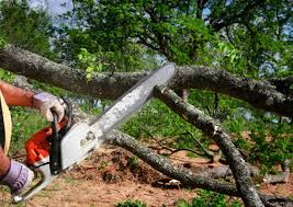 Lawn Watering Services in Estell Manor, NJ